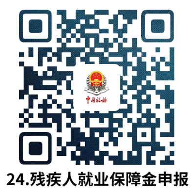 说明: 24.残疾人就业保障金申报.docx
