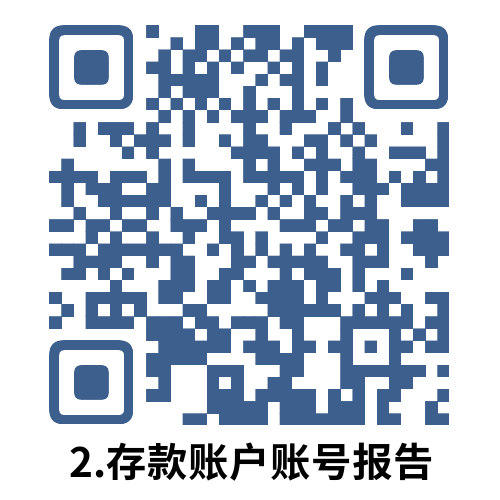 说明: 2.存款账户账号报告