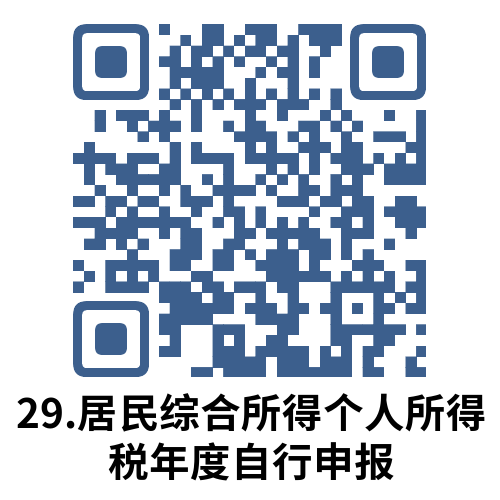 说明: 29.居民综合所得个人所得税年度自行申报