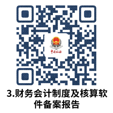 说明: 3.财务会计制度及核算软件备案报告