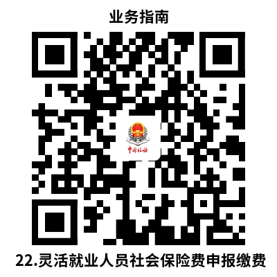 说明: 22.灵活就业人员社会保险费申报缴费