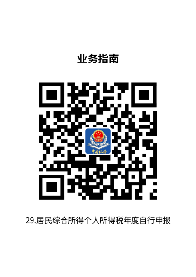 说明: 29.居民综合所得个人所得税年度自行申报