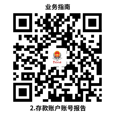 说明: 2.存款账户账号报告