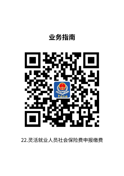 说明: 22.灵活就业人员社会保险费申报缴费