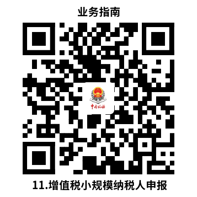 说明: 11.增值税小规模纳税人申报