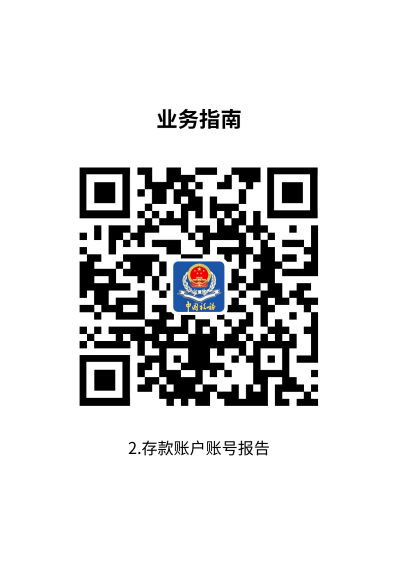 说明: 2.存款账户账号报告