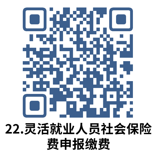 说明: 22.灵活就业人员社会保险费申报缴费