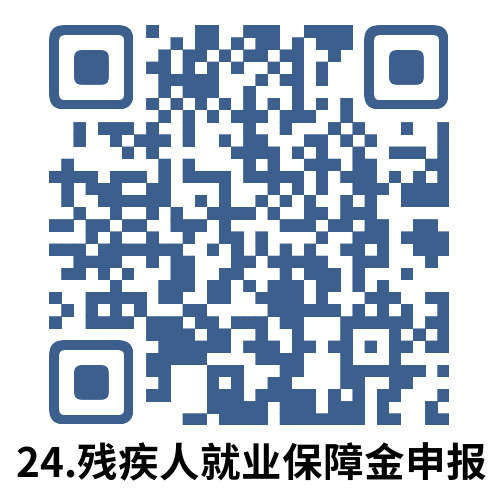 说明: 24.残疾人就业保障金申报