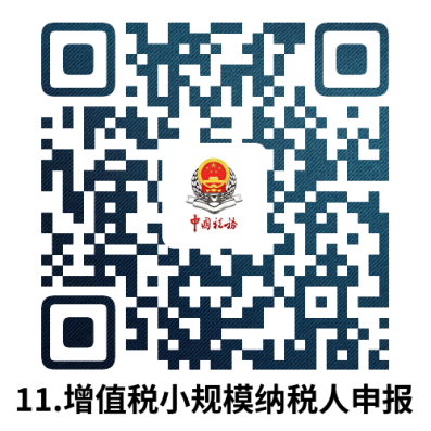 说明: 11.增值税小规模纳税人申报.docx