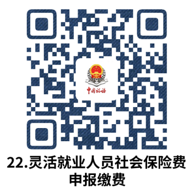 说明: 22.灵活就业人员社会保险费申报缴费.docx