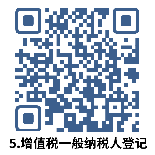 说明: 5.增值税一般纳税人登记