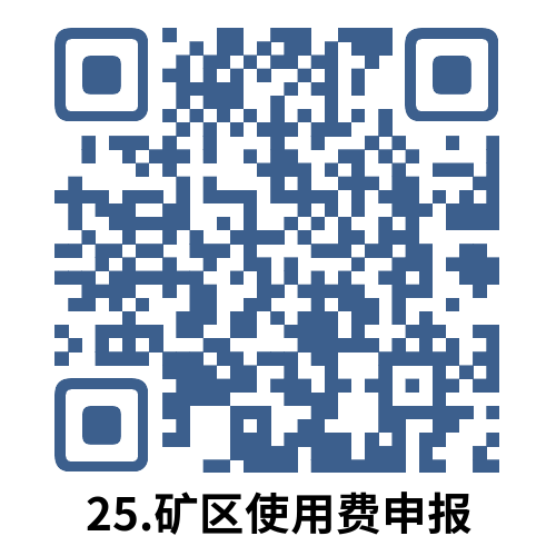说明: 25.矿区使用费申报