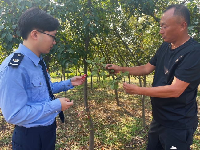 兴城税务：税务润泽花木场 繁花绿树映富路_兴城税务：税务润泽花木场 繁花绿树映富路_