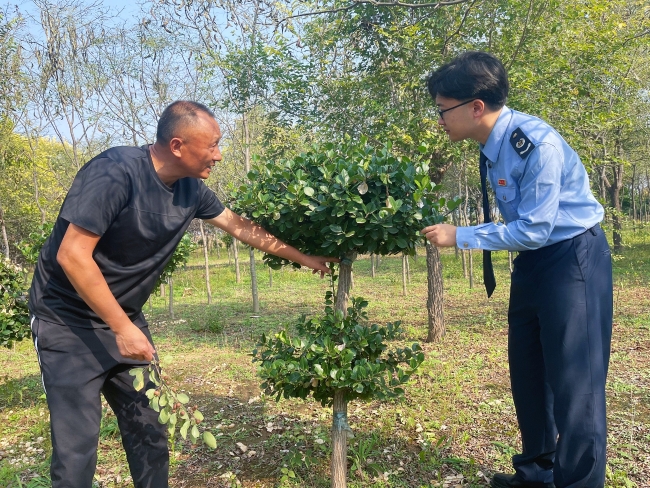 兴城税务：税务润泽花木场 繁花绿树映富路__兴城税务：税务润泽花木场 繁花绿树映富路