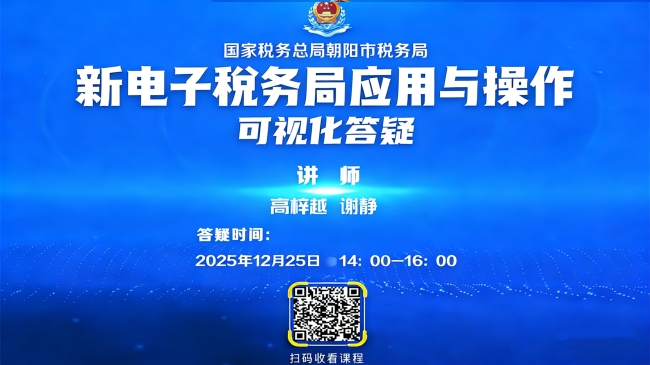 直播回放：新电子税务局可视化答疑