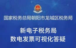 直播回放：新电子税务局数电发票可视化答疑
