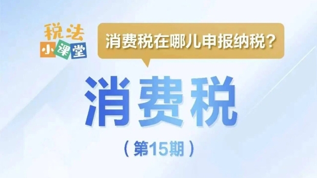 税法小课堂：消费税在哪儿申报纳税？