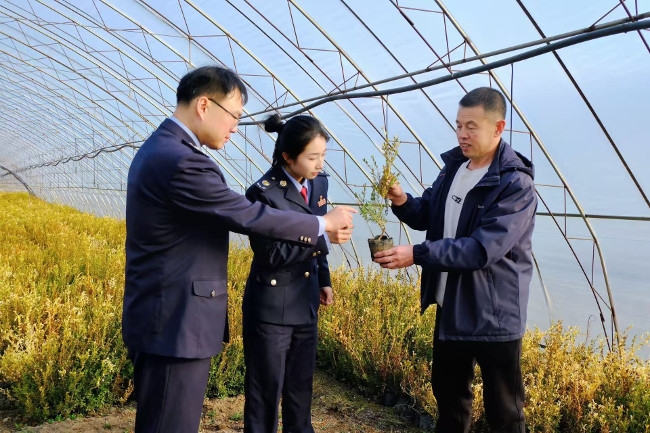 _税务局风险防控专题汇报材料_税务局风险防控措施