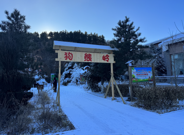 朝阳市冰雪文化节在哪里_红星美凯龙西北区待开业项目_