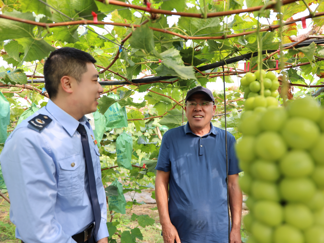 税务助推乡村振兴__税务力量助力乡村振兴
