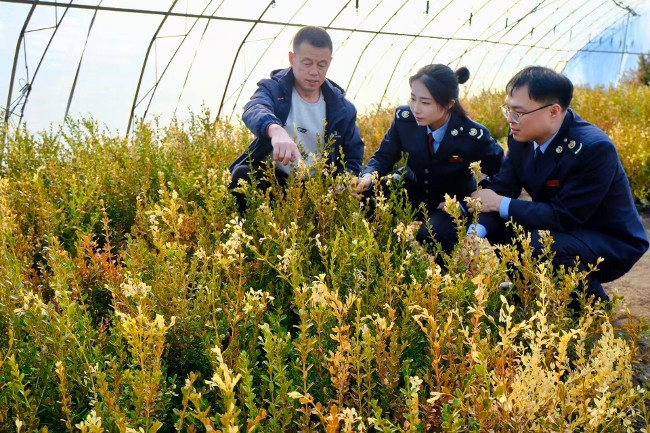 税务局风险防控专题汇报材料_税务局风险防控措施_