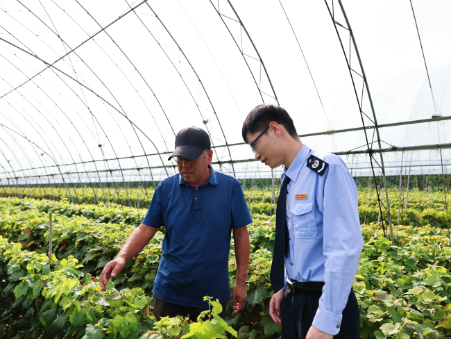 税务力量助力乡村振兴__税务助推乡村振兴